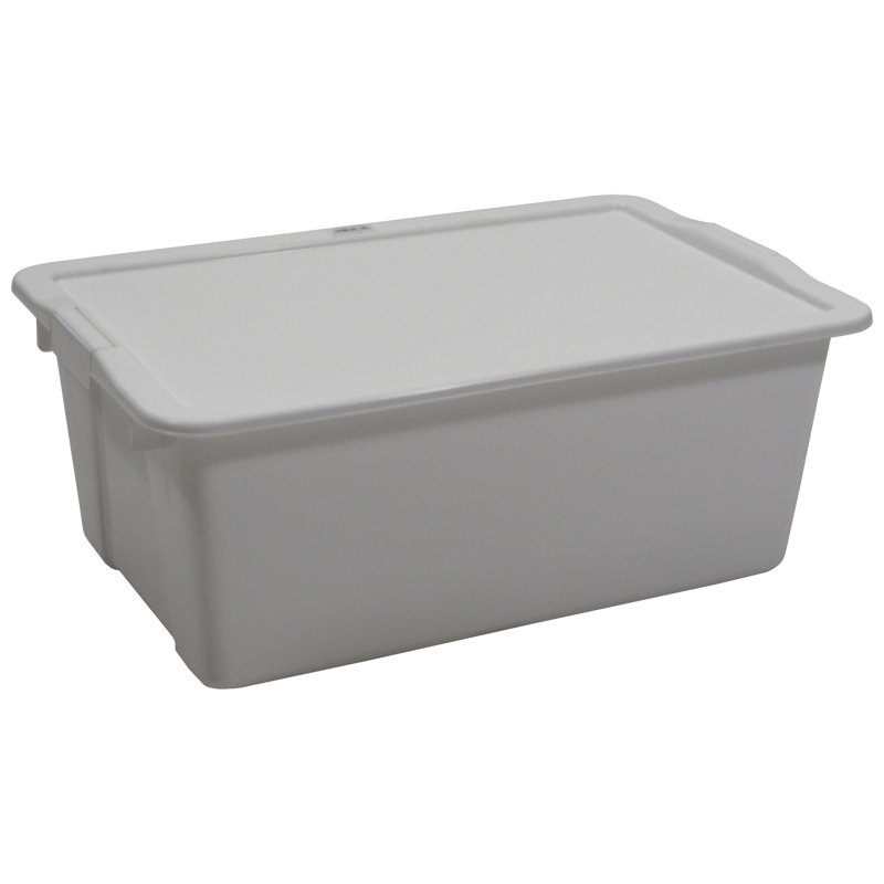 Rebrilliant 11 qt Plastic Tubs and Totes Set & Reviews Wayfair